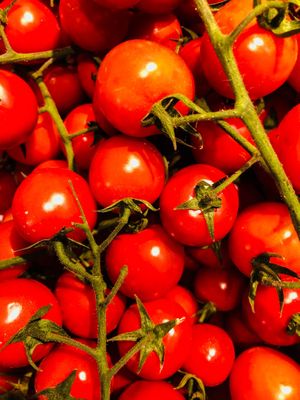  at Maran Vegan in Vienna