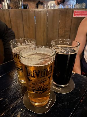 Cervezas Ipa y Stout   at Luvina in Mexico City