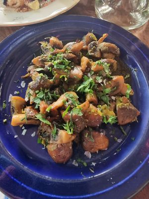 Mushrooms at Fir in Malmo