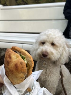 Mushroom-onion-wild garlic (€7,50)🧄  at Pain du Jardin  in Utrecht