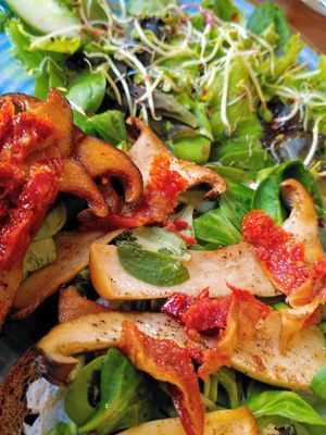  at V-Cake Cafe in Dresden