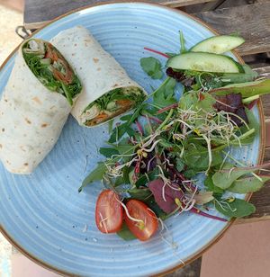 Wrap with "salmon" at V-Cake Cafe in Dresden