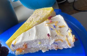   at V-Cake Cafe in Dresden