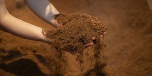 オーガニック米ぬか酵素風呂 at Takanawa Fermentation Bath Salon Hisashi - 高輪発酵浴サロン 久 in Tokyo