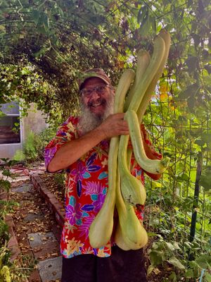   at Mammoth Dining Room in Yellowstone National Park