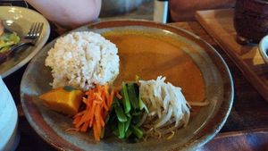 Vegetable curry at Sagan in Kyoto