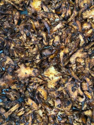 Organic medicinal bbq mushrooms, lions mane, shiitake, oyster from Buddha Eats at THISiS BUDDHA EATS in Croyde