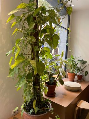  at Gosto Café in Madrid