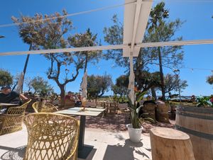 Views at The Coconut Shack in Mallorca