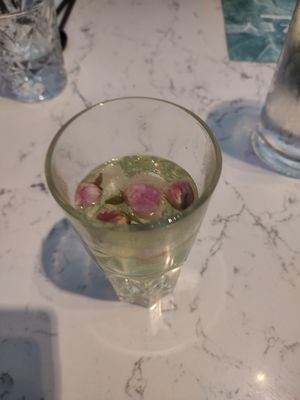  at Rozey in The Hague