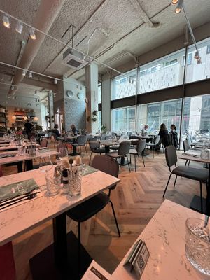  at Rozey in The Hague