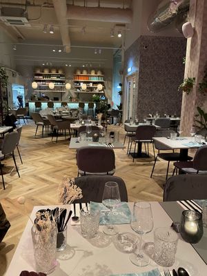   at Rozey in The Hague