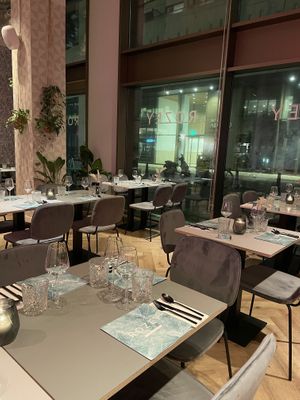   at Rozey in The Hague