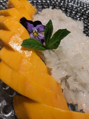 Sticky Rice and Mango at Herb in Chicago