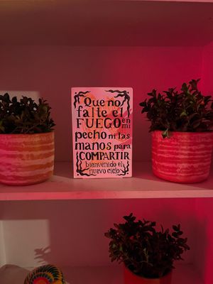  at Segundo Piso in Bogota