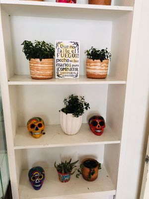   at Segundo Piso in Bogota