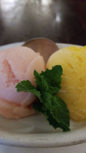 Vegan sorbet! at Clay Pit in Austin