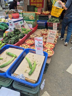 Five Cucumbers for 1000 KRW at Traditional Market Mangwon Branch - 재래시장 망원점 슈퍼z in Seoul