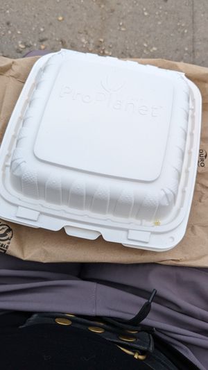 No Styrofoam packaging at Punjabi Junction Of 87th in New York City