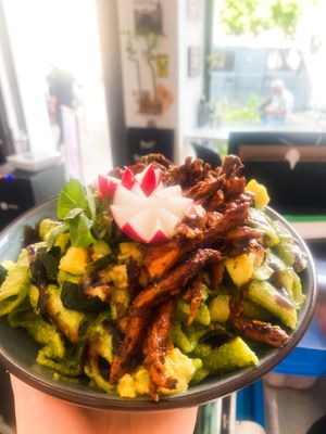 Penne in Zucchini-Basilikum-Zitronen-Pesto mit pulled Chicken auf Erbsenproteinbasis at Kraut & Rueben in Kiel