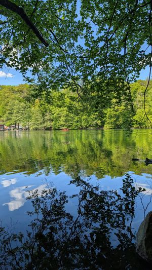 Schmaler Luzinsee (gleich gegenüber des Hotels durch den Wald) at Hotel Hullerbusch in Feldberger Seenlandschaft