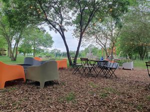 Parc at La Guinguette des Prés Valet in Oleron