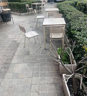  at Parque Café in Madrid