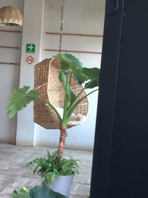 Silla   at Dosis Cafe - Valle in Valle De Bravo