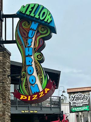Mellow Mushroom - sign   at Mellow Mushroom in Gatlinburg