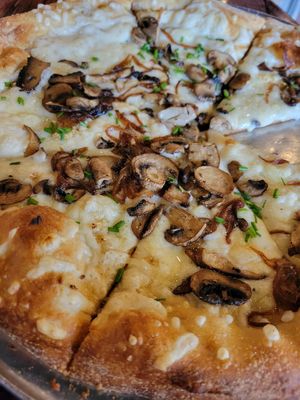  at Mellow Mushroom in Gatlinburg