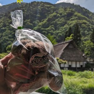 Local veggies at Komorebi Kitchen in Kyoto