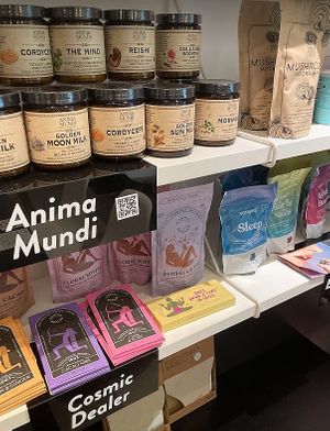  at Roots Ayala in Madrid