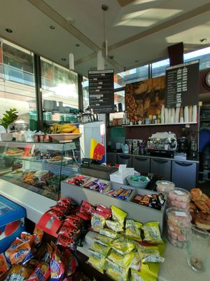 Interior at Fly Coffee in Cork