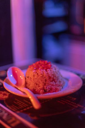 Vegan Chahan at The Fire Bar in Osaka