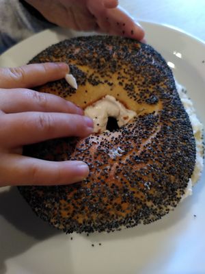 Cream cheese bagel (June 2025) at Hermit Crab Coffee in Machynlleth