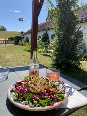 Carpacha with veggie patties in the Garden   at Backagården Café in Loderup