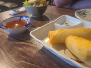 Veggie spring rolls at Passion Fin Asian Bistro & Sushi Bar in Fort Wayne