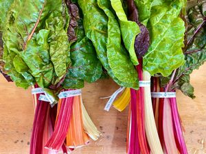  at Beech Hill Farm in Mount Desert Island