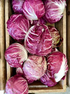  at Beech Hill Farm in Mount Desert Island