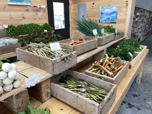   at Beech Hill Farm in Mount Desert Island