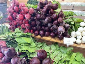   at Beech Hill Farm in Mount Desert Island