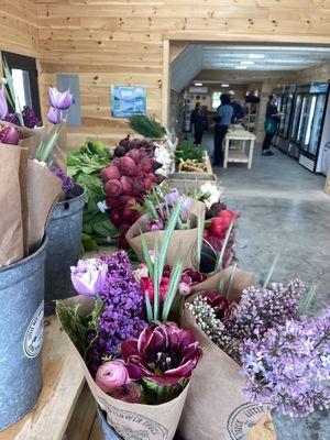   at Beech Hill Farm in Mount Desert Island