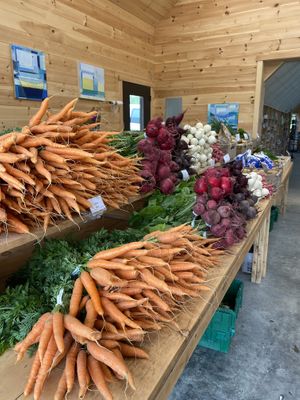 Wonderful looking produce!   at Beech Hill Farm in Mount Desert Island