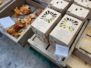 Oyster and lobster mushrooms  at Beech Hill Farm in Mount Desert Island