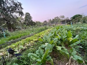  at Kongkarn Cafe & Farmstay in Ratchaburi