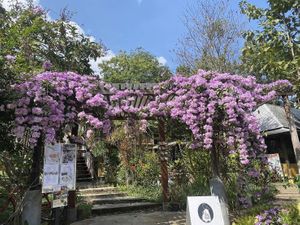 Kongkarn Resort & Farmstay at Kongkarn Cafe & Farmstay in Ratchaburi