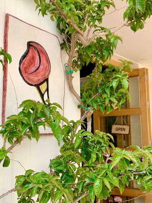   at LadaCrem in Formentera