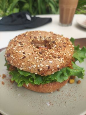  at El Michi del Puerto in Tenerife