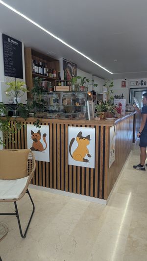  at El Michi del Puerto in Tenerife