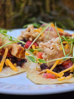 Vegan Tacos with tempura sweet potato, vegan cheddar, cuban style black beans at Historia Cantina in Schomberg